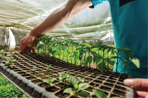 Cómo recibir financiamiento de hasta s/ 150,000 con este concurso de Innóvate Perú