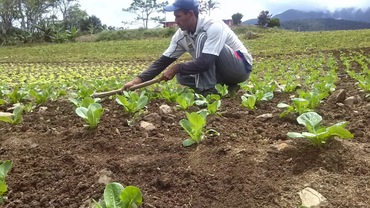 Perú ofrece oportunidades a emprendedores en minería, agro y pesca