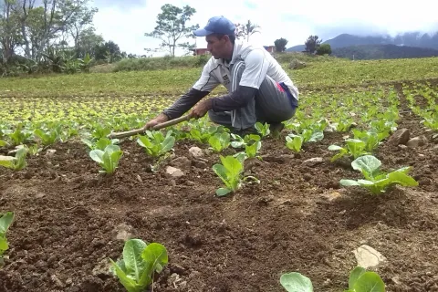 Perú ofrece oportunidades a emprendedores en minería, agro y pesca