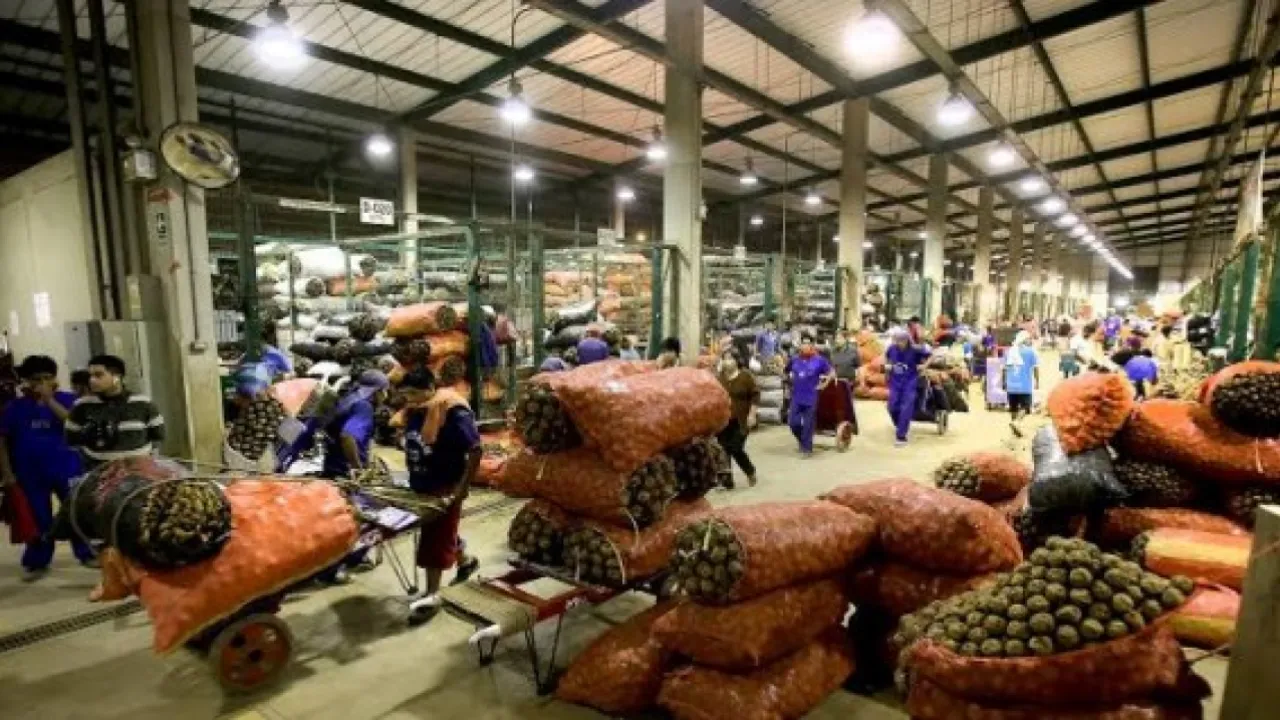 emprendedores mercados publicos