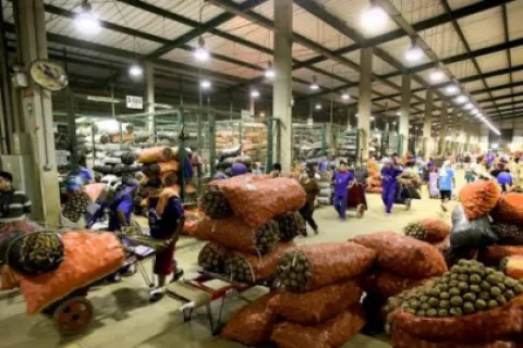 emprendedores mercados publicos