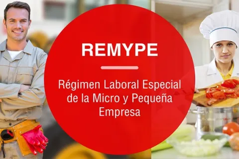 Todo lo que debes saber sobre el Remype y a quién está dirigido