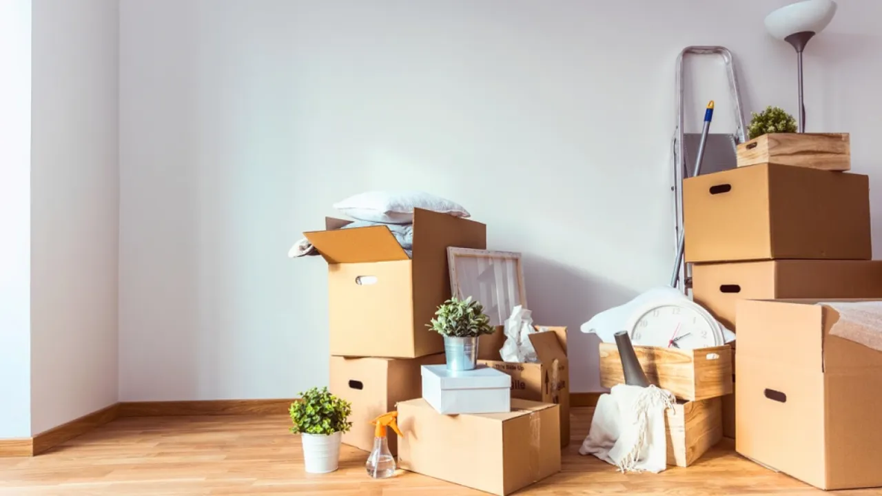 Yegoh: la historia de dos jóvenes peruanos que crearon una startup de mudanza