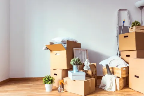 Yegoh: la historia de dos jóvenes peruanos que crearon una startup de mudanza