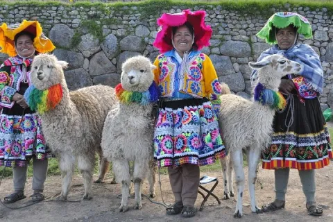 5 negocios  que puedes emprender en pueblo turístico de Perú