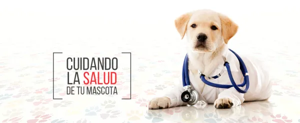 Veterinaria Prana