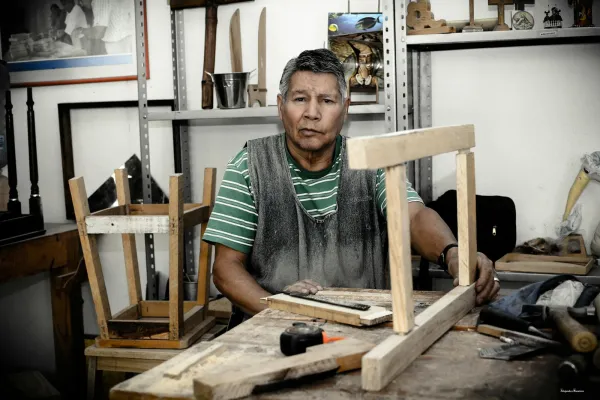 TAPICERIA TAPIZ - ARTE