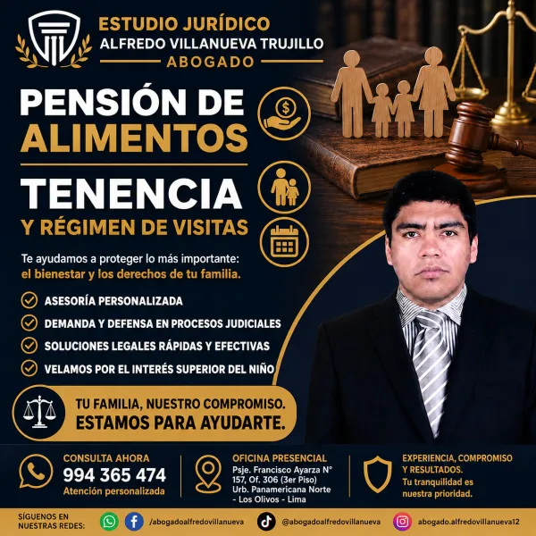 PROCESO DE DEMANDA DE ALIMENTOS, TENENCIA Y REGIMEN DE VISITAS 