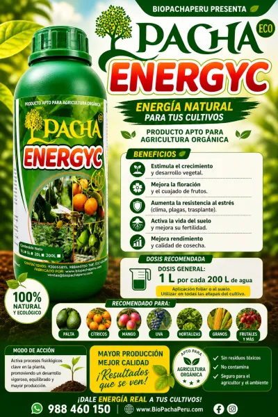 ENERGY