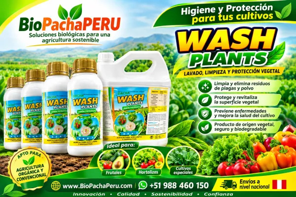 WASH PLANTS