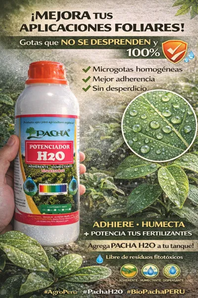 POTENCIADOR H2O