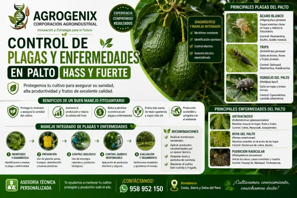 Visita y diagnóstico