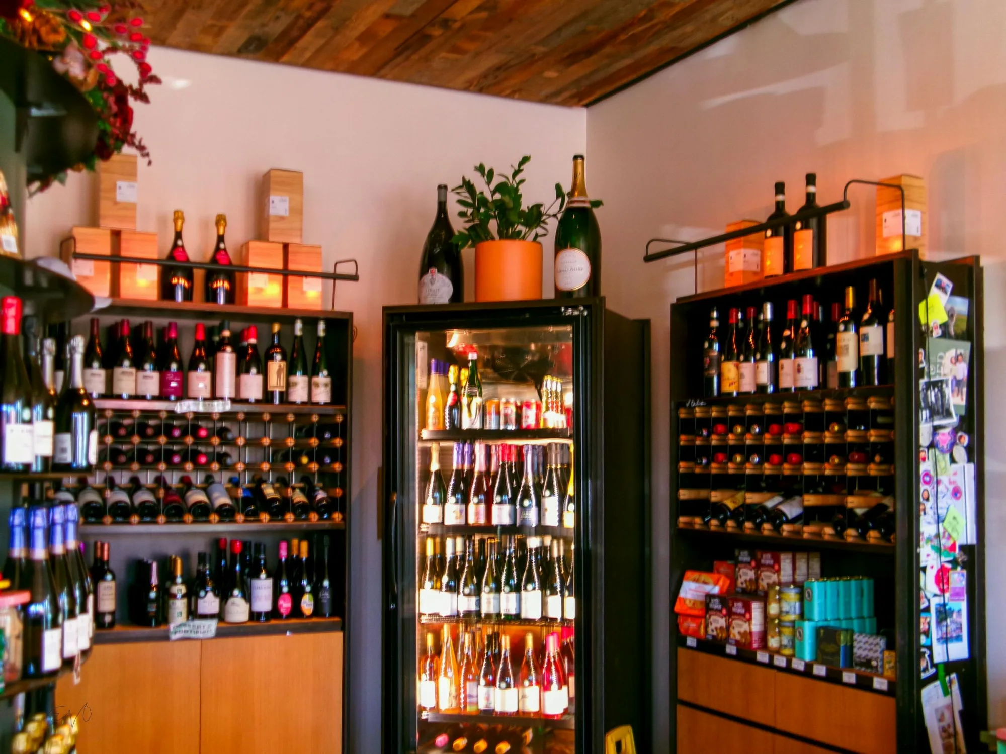 Interior vibrante de tienda de vinos que muestra una variedad de botellas de vino en los estantes.