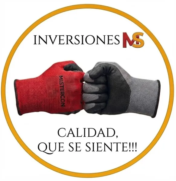 INVERSIONES E IMPORTACIONES MS