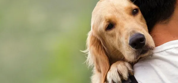 HUELLITAS PET