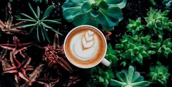 The Coffee House