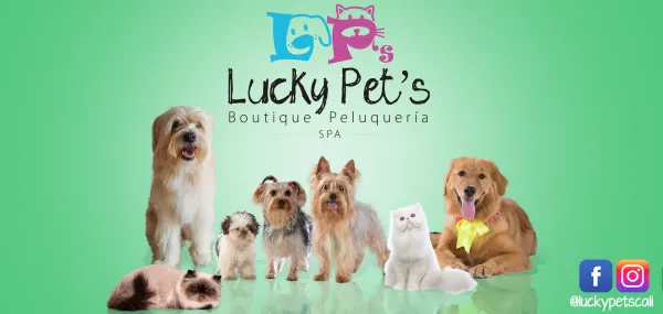 LUCKY'S SPA