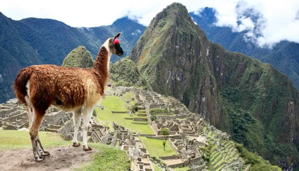 Conoce y Viaja al Peru