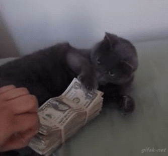 3_1.gif