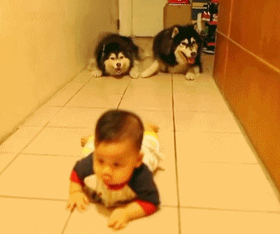 lider.gif