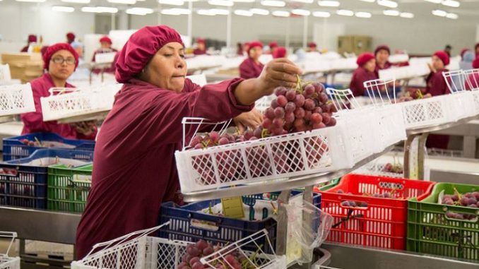 mipymes-exportadoras-678x381.jpg